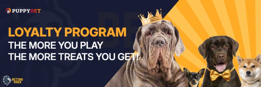 puppybet udenlandsk casino vip kampagner