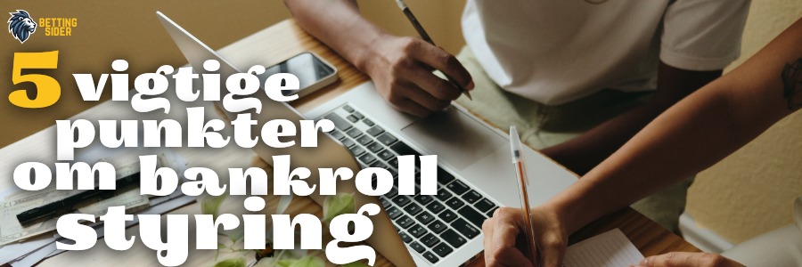 vigtige punkter bankroll