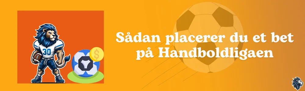 Sådan placerer du et bet på Handboldligaen